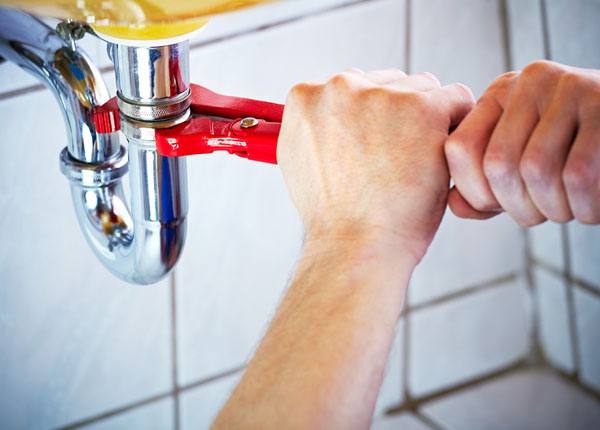 About Edmonds Plumbers
